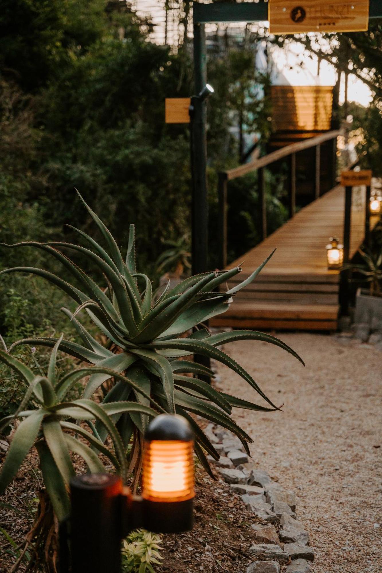 Thunzi Bush Lodge Beachview Exterior photo